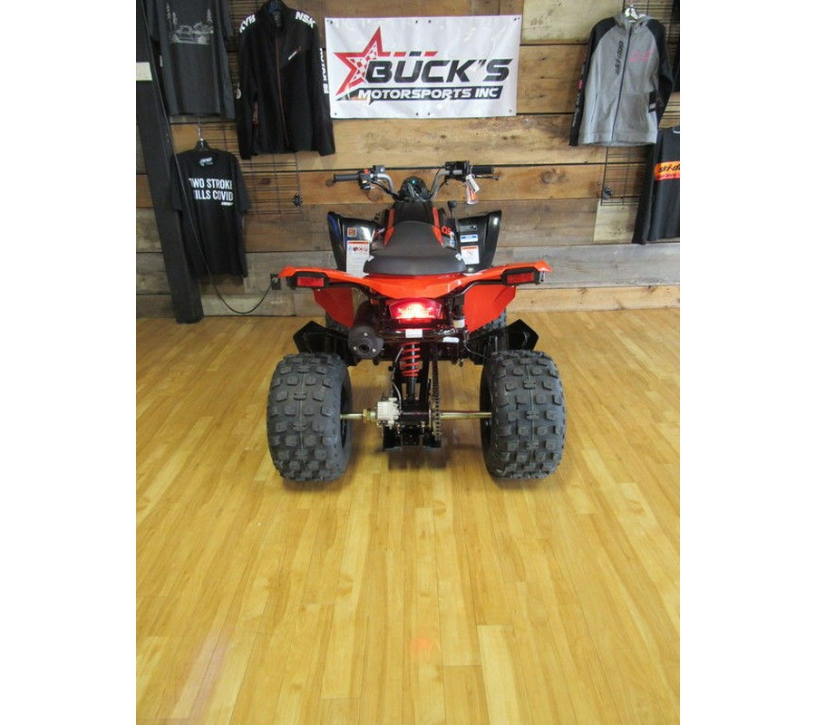 2026 Can-Am® DS 250