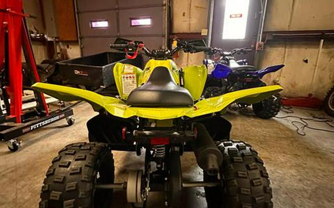 2026 Yamaha Raptor 110