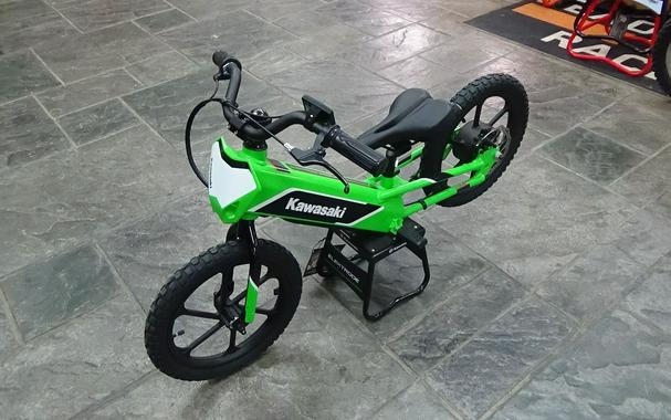 2023 Kawasaki Elektrode