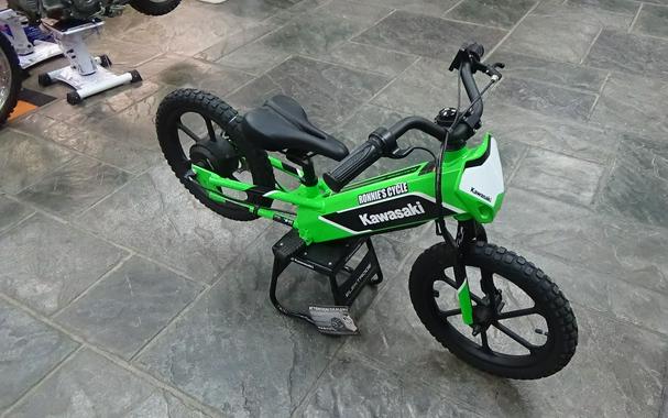 2023 Kawasaki Elektrode