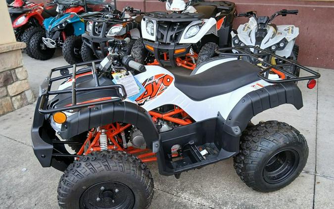 2025 Kayo Bull 150 EFI