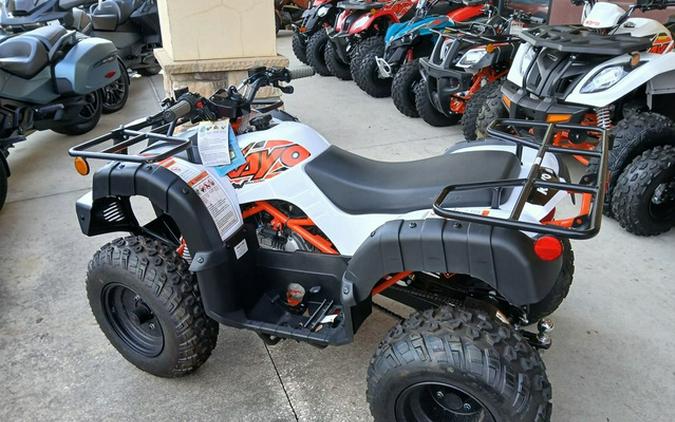 2025 Kayo Bull 150 EFI