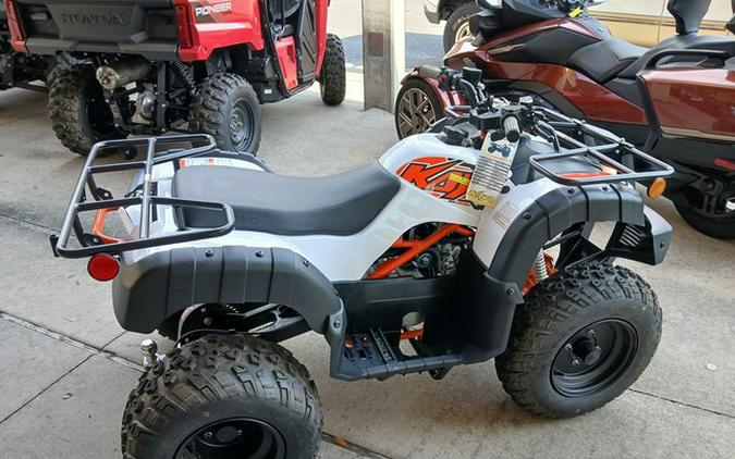 2025 Kayo Bull 150 EFI