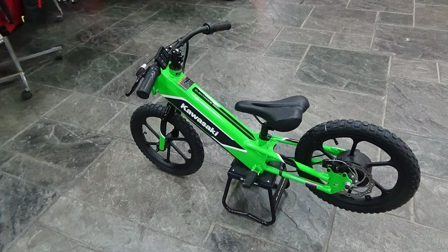 2023 Kawasaki Elektrode