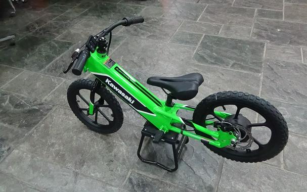 2023 Kawasaki Elektrode