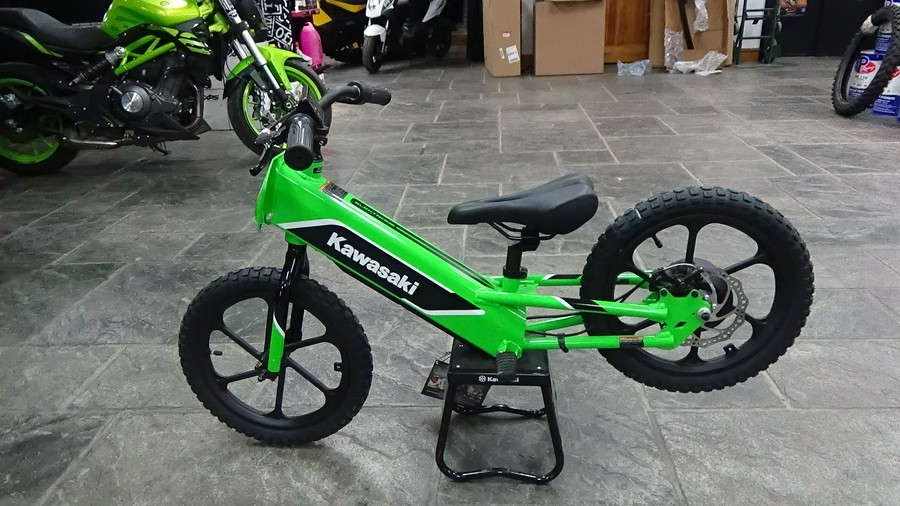 2023 Kawasaki Elektrode