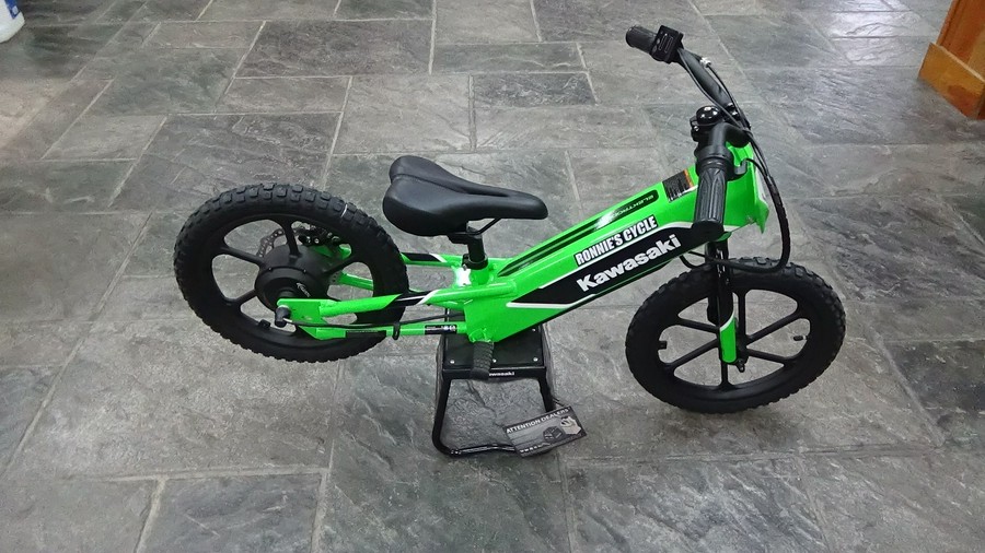 2023 Kawasaki Elektrode