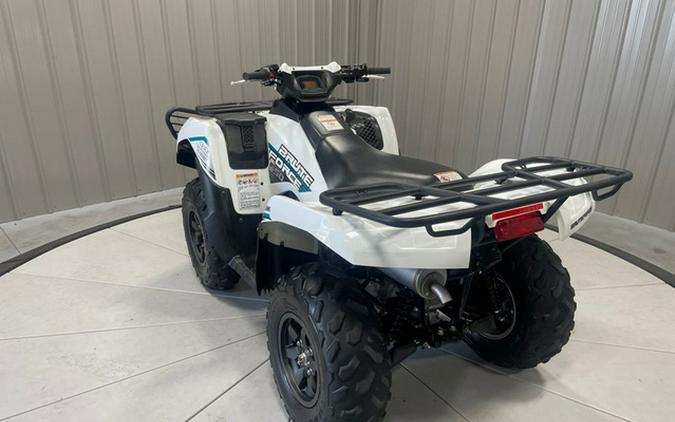 2023 Kawasaki Brute Force 750 4x4i EPS