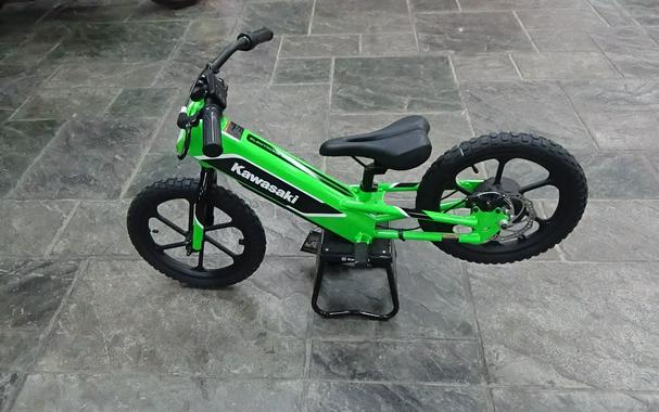 2023 Kawasaki Elektrode