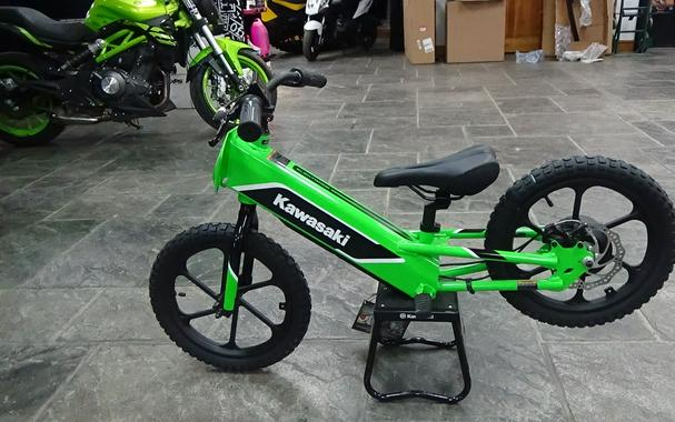 2023 Kawasaki Elektrode