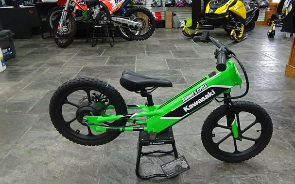 2023 Kawasaki Elektrode