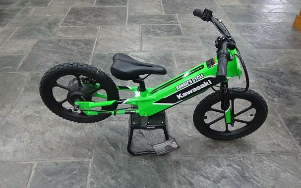 2023 Kawasaki Elektrode