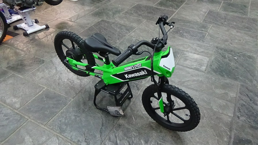 2023 Kawasaki Elektrode