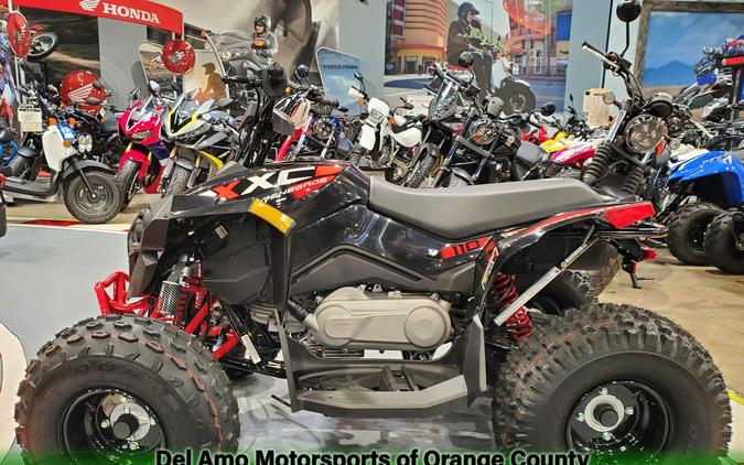 2024 Can-amt RENEGADE X XC 110