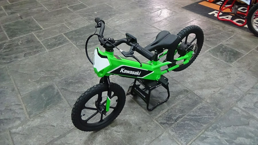 2023 Kawasaki Elektrode