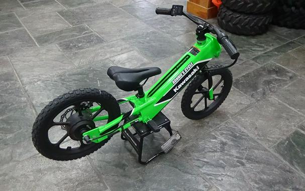 2023 Kawasaki Elektrode