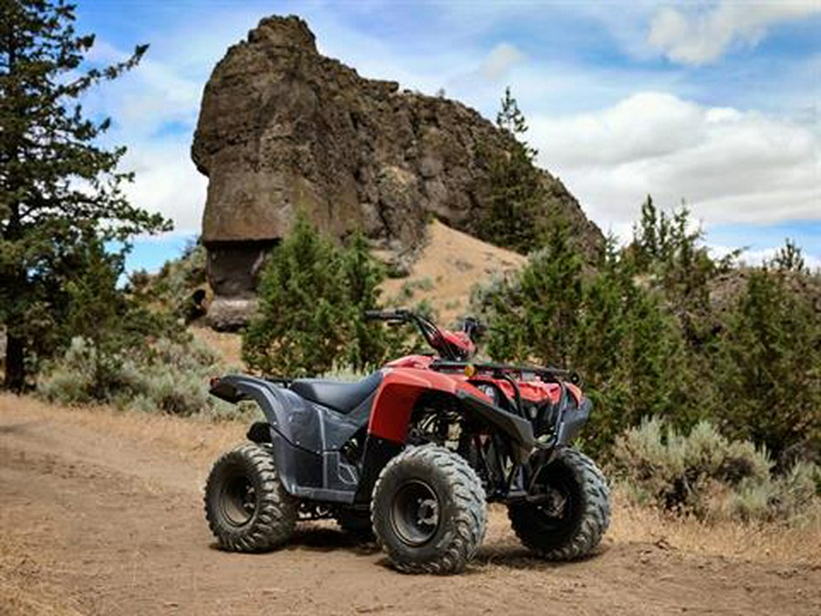 2025 Yamaha Grizzly 110