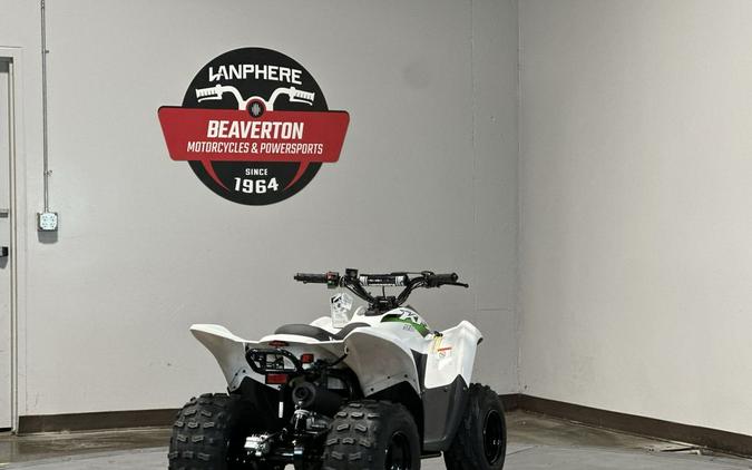 2027 Kawasaki KFX® 90