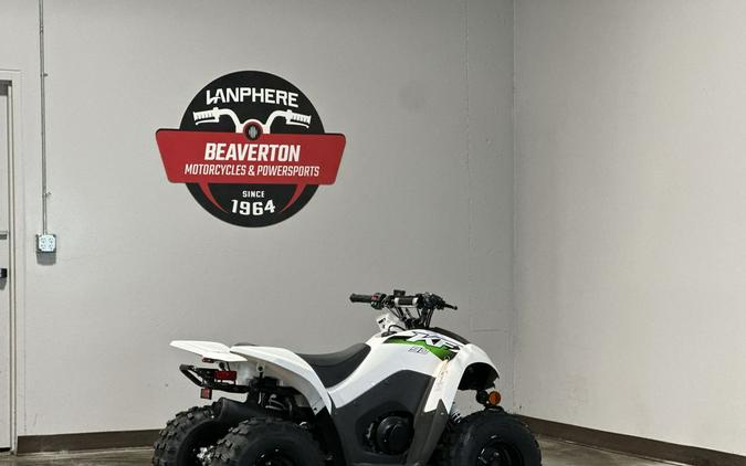 2027 Kawasaki KFX® 90