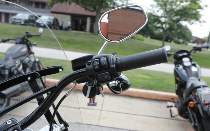 Used 2019 Harley-Davidson Softail Slim FLSL Motorcycle For Sale In Medina, OH