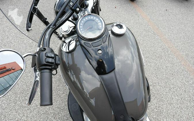 Used 2019 Harley-Davidson Softail Slim FLSL Motorcycle For Sale In Medina, OH