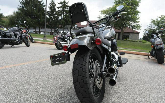 Used 2019 Harley-Davidson Softail Slim FLSL Motorcycle For Sale In Medina, OH