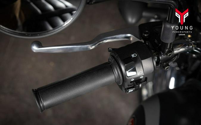 2026 Kawasaki W 230 ABS