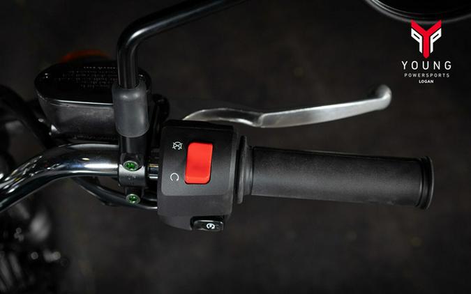 2026 Kawasaki W 230 ABS