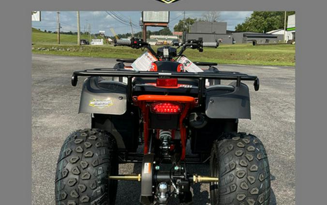 2026 Kayo Bull 150 EFI