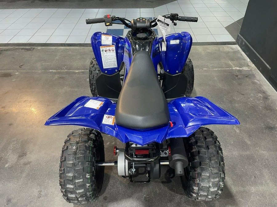 2025 Yamaha Raptor 110