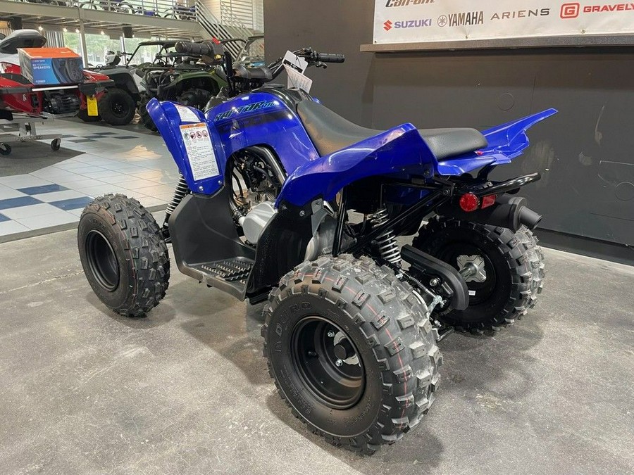 2025 Yamaha Raptor 110