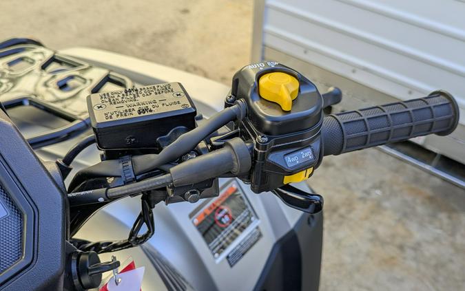 2026 Honda FourTrax Rubicon 700 4x4 Automatic