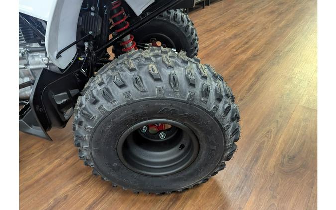 2026 Honda TRX® 250X