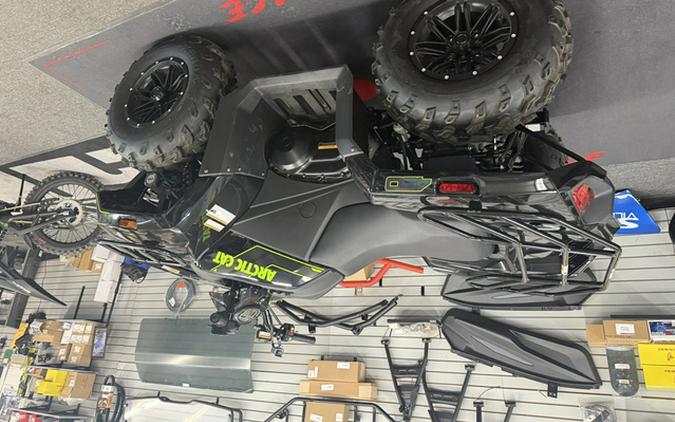 2026 Arctic Cat Alterra 450