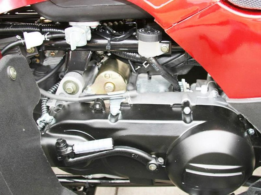 2021 Coolster Vehicles & Parts 3150DX2