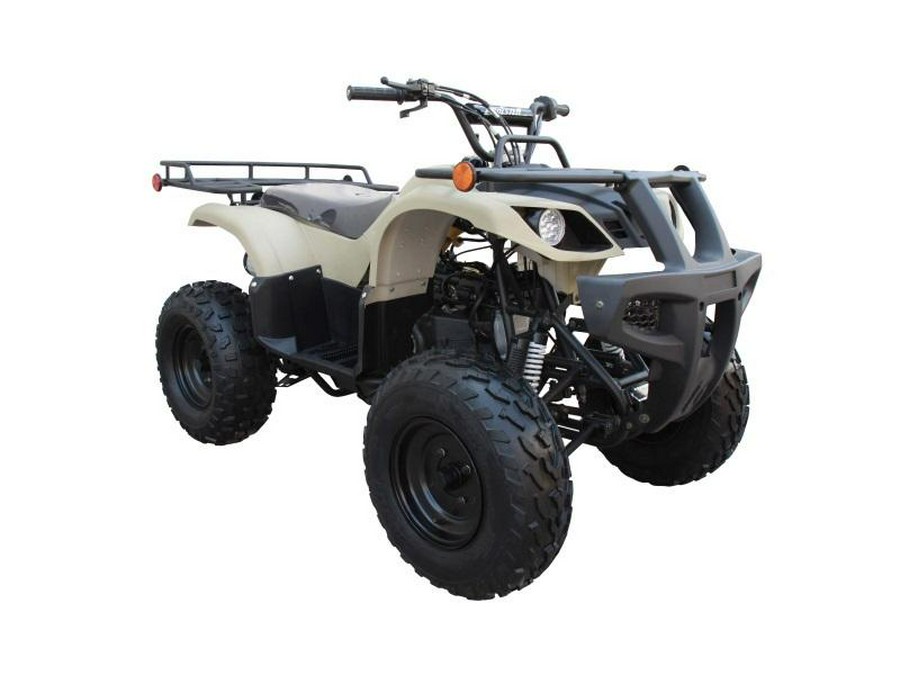 2021 Coolster Vehicles & Parts 3150DX2