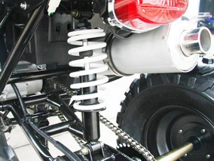 2021 Coolster Vehicles & Parts 3150DX2