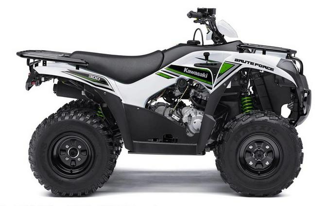 2016 Kawasaki Brute Force 300