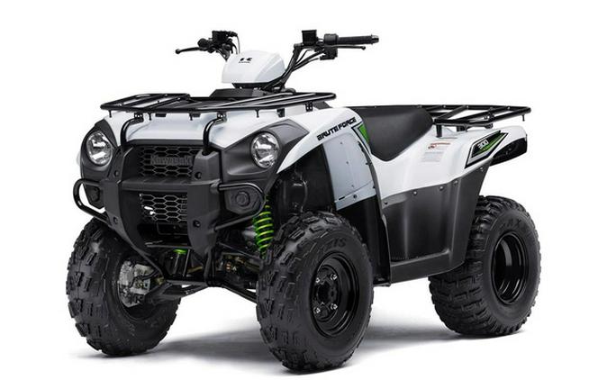 2016 Kawasaki Brute Force 300