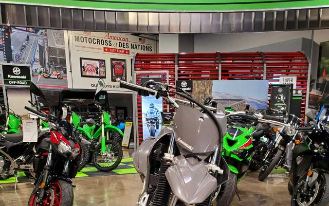 2024 KAWASAKI KLX 230R