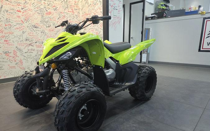 2026 Yamaha Raptor 110