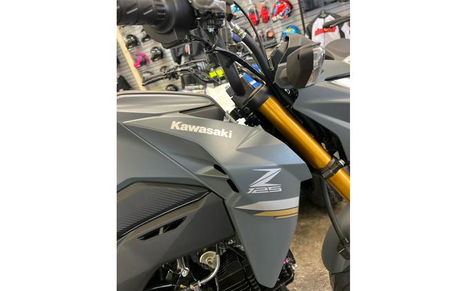 2024 Kawasaki Z125 Pro