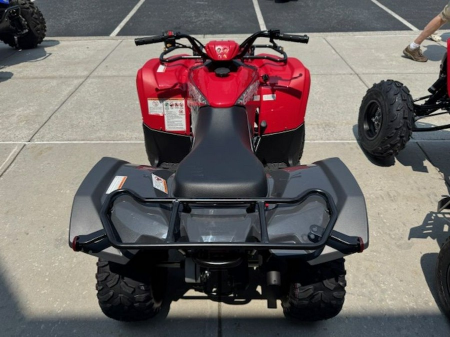 2025 Yamaha Grizzly 110