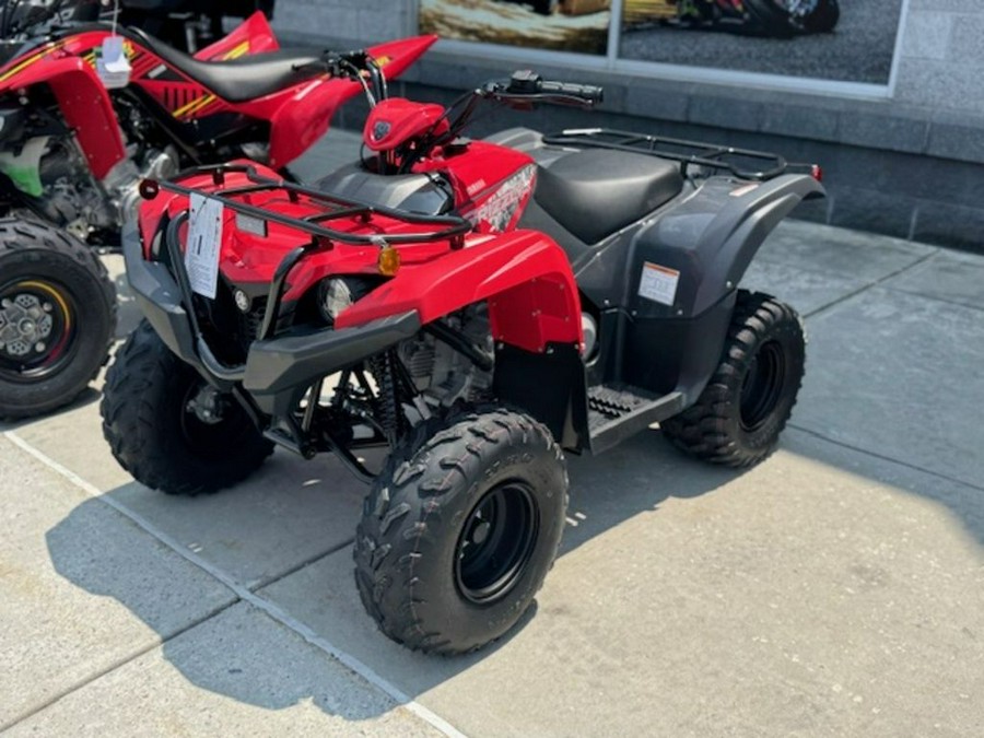 2025 Yamaha Grizzly 110