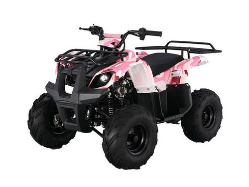 2021 Tao Tao ATA-125D Pink Camo