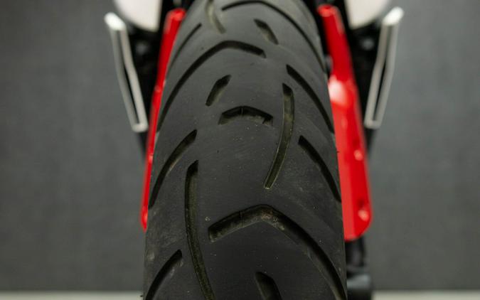2024 TRIUMPH TIGER 900 GT ARAGON EDITION