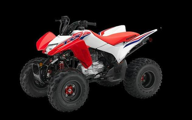 2024 Honda TRX250X