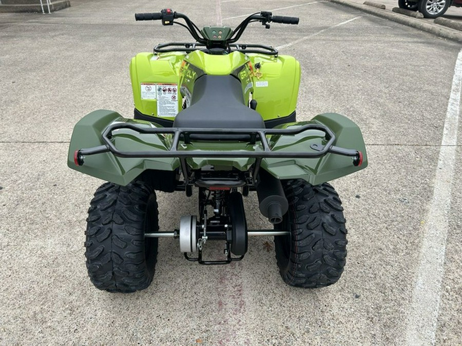 2026 Yamaha Grizzly 110