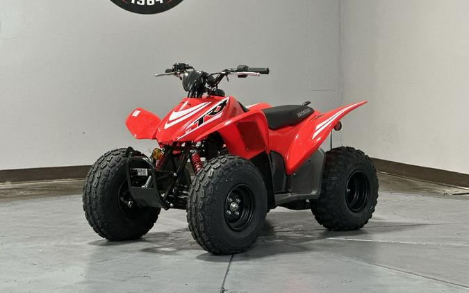2026 Honda TRX® 90X