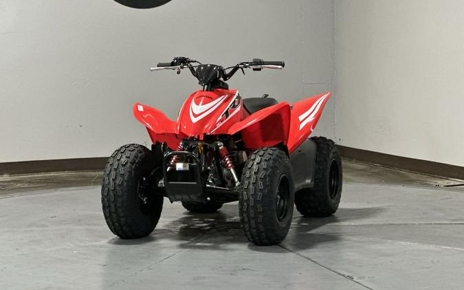 2026 Honda TRX® 90X